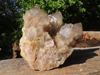 Natural Cascading White Phantom Smokey Quartz Clusters  x 2 From Luena, Congo - Toprock Gemstones and Minerals 