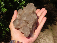 Natural Cascading White Phantom Smokey Quartz Clusters  x 2 From Luena, Congo - Toprock Gemstones and Minerals 