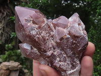 Natural Red Hematoid Quartz Specimens x 3 From Karoi, Zimbabwe - TopRock