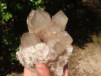 Natural Cascading White Phantom Smokey Quartz Clusters  x 2 From Luena, Congo - Toprock Gemstones and Minerals 