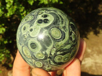 Polished Stromatolite / Kambamba Jasper Spheres  x 2 From Katsepy, Madagascar - Toprock Gemstones and Minerals 