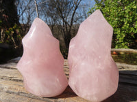 Polished Rose Quartz Flame Sculptures x 4 From Madagascar