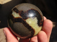 Polished Septerye Spheres  x 6 From Madagascar - Toprock Gemstones and Minerals 