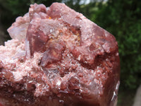 Natural Red Hematoid Quartz Specimens x 3 From Karoi, Zimbabwe - TopRock