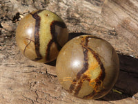 Polished Septerye Spheres  x 6 From Madagascar - Toprock Gemstones and Minerals 