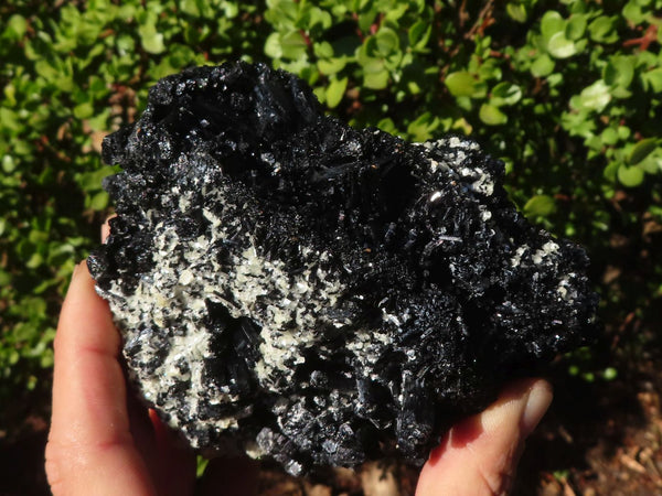 Natural Large Schorl Black Tourmaline Specimen x 1 From Erongo, Namibia