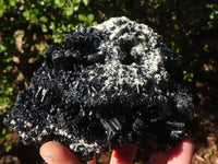 Natural Large Schorl Black Tourmaline Specimen x 1 From Erongo, Namibia