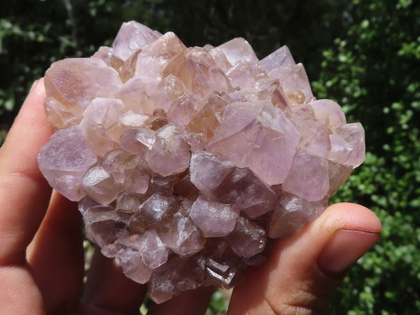 Natural Mixed Spirit Quartz Clusters  x 9 From Boekenhouthoek, South Africa - TopRock