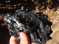 Natural Large Schorl Black Tourmaline Specimen x 1 From Erongo, Namibia