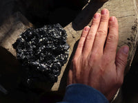 Natural Large Schorl Black Tourmaline Specimen x 1 From Erongo, Namibia