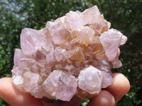 Natural Mixed Spirit Quartz Clusters  x 9 From Boekenhouthoek, South Africa - TopRock