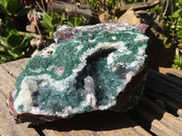 Natural Drusy Coated Malachite On Red Copper Dolomite Specimen x 1 From Likasi, Congo - Toprock Gemstones and Minerals 