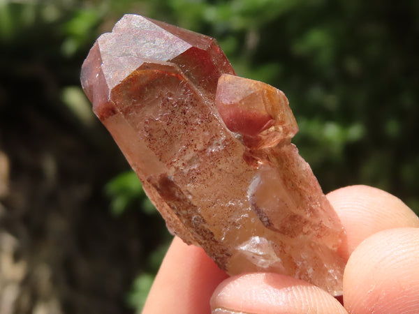 Natural Red Hematoid Quartz Specimens x 70 From Karoi, Zimbabwe - TopRock