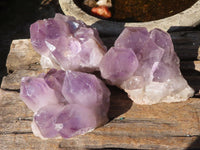 Natural Jacaranda Amethyst Clusters  x 3 From Zambia - Toprock Gemstones and Minerals 