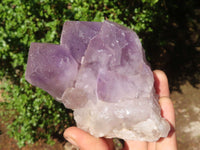 Natural Jacaranda Amethyst Clusters  x 3 From Zambia - Toprock Gemstones and Minerals 