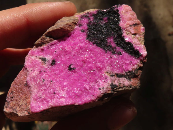 Natural Salrose Cobaltion Dolomite Specimens x 6 From Kakanda, Congo