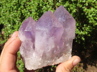 Natural Jacaranda Amethyst Clusters  x 3 From Zambia - Toprock Gemstones and Minerals 