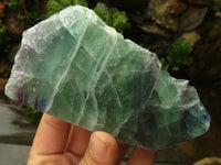 Polished Watermelon Fluorite Slabs  x 6 From Namibia - TopRock