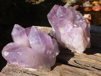 Natural Jacaranda Amethyst Clusters  x 3 From Zambia - Toprock Gemstones and Minerals 