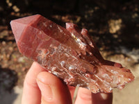 Natural Red Hematoid Quartz Crystals x 12 From Karoi, Zimbabwe