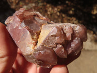 Natural Red Hematoid Quartz Crystals x 12 From Karoi, Zimbabwe