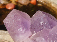 Natural Jacaranda Amethyst Clusters  x 3 From Zambia - Toprock Gemstones and Minerals 