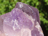 Natural Jacaranda Amethyst Clusters  x 3 From Zambia - Toprock Gemstones and Minerals 