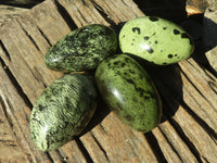 Polished Spotted Leopard Stone Free Forms  x 4 From Zimbabwe - Toprock Gemstones and Minerals 