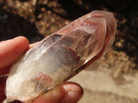 Natural Red Hematoid Quartz Crystals x 12 From Karoi, Zimbabwe