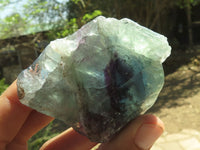 Natural Selected Watermelon Fluorite Cobbed Pieces (Stone Sealed) x 13 From Uis, Namibia - TopRock