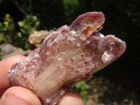 Natural Red Hematoid Quartz Specimens x 35 From Karoi, Zimbabwe - TopRock