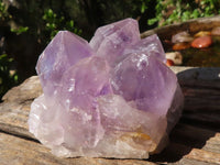 Natural Jacaranda Amethyst Clusters  x 3 From Zambia - Toprock Gemstones and Minerals 