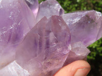 Natural Jacaranda Amethyst Clusters  x 3 From Zambia - Toprock Gemstones and Minerals 