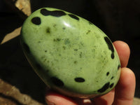 Polished Spotted Leopard Stone Free Forms  x 4 From Zimbabwe - Toprock Gemstones and Minerals 