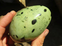 Polished Spotted Leopard Stone Free Forms  x 4 From Zimbabwe - Toprock Gemstones and Minerals 