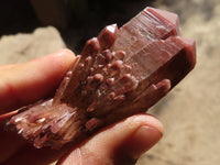 Natural Red Hematoid Quartz Crystals x 12 From Karoi, Zimbabwe