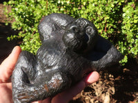 Polished  Black Soapstone Gorilla Carving  x 1 From Zimbabwe