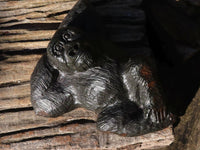 Polished  Black Soapstone Gorilla Carving  x 1 From Zimbabwe