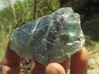 Natural Selected Watermelon Fluorite Cobbed Pieces (Stone Sealed) x 13 From Uis, Namibia - TopRock