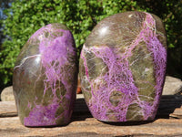 Polished Stichtite & Serpentine Standing Free Forms With Silky Purple Threads  x 6 From Barberton, South Africa - Toprock Gemstones and Minerals 