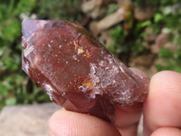 Natural Red Hematoid Quartz Specimens x 35 From Karoi, Zimbabwe - TopRock