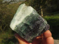 Natural Watermelon Fluorite Cobbed Specimens  x 12 From Uis, Namibia - TopRock