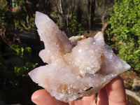 Natural Spirit Amethyst Quartz Clusters x 4 From Boekenhouthoek, South Africa