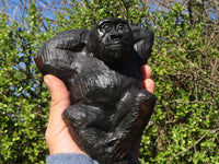 Polished  Black Soapstone Gorilla Carving  x 1 From Zimbabwe