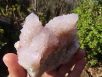 Natural Spirit Amethyst Quartz Clusters x 4 From Boekenhouthoek, South Africa