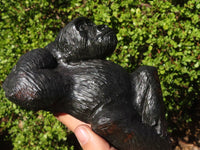 Polished  Black Soapstone Gorilla Carving  x 1 From Zimbabwe