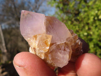 Natural Spirit Quartz Crystals x 144 From Boekenhouthoek, South Africa