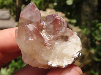 Natural Red Hematoid Quartz Specimens x 35 From Karoi, Zimbabwe - TopRock