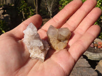 Natural Spirit Quartz Crystals x 144 From Boekenhouthoek, South Africa