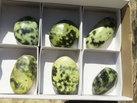 Polished Extra Large Leopard Stone Gallets  x 6 From Zimbabwe - TopRock